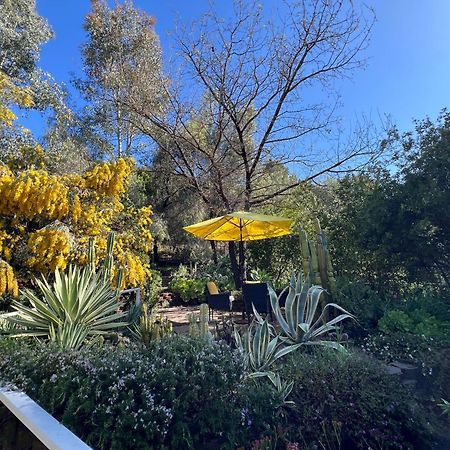 Villa La Reforma - Newly Designed 4Br House & Pool In Los Angeles By Topanga Exterior foto
