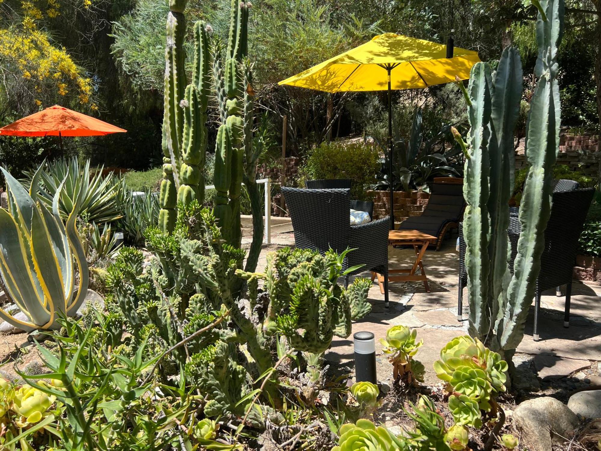 Villa La Reforma - Newly Designed 4Br House & Pool In Los Angeles By Topanga Exterior foto