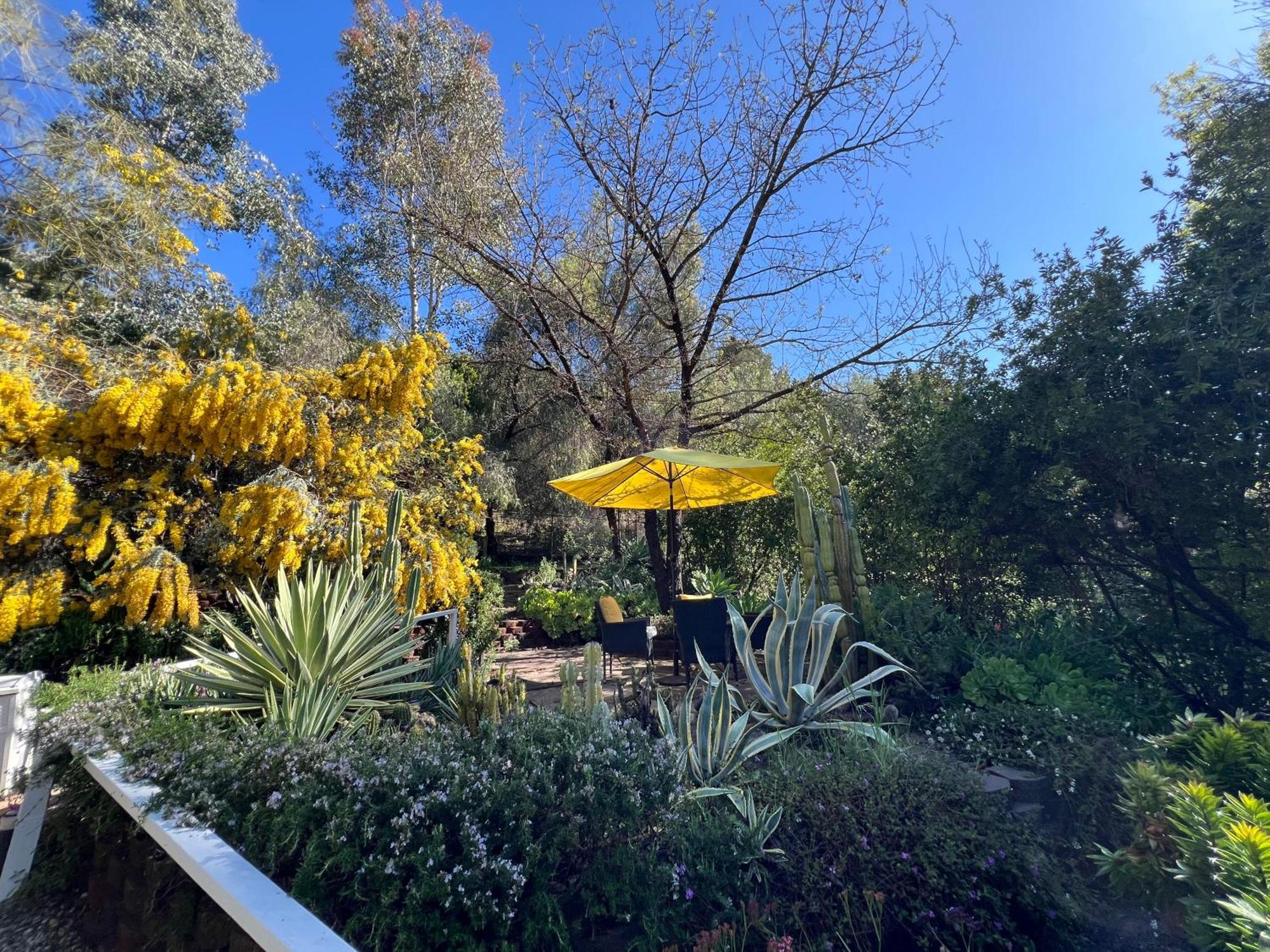 Villa La Reforma - Newly Designed 4Br House & Pool In Los Angeles By Topanga Exterior foto